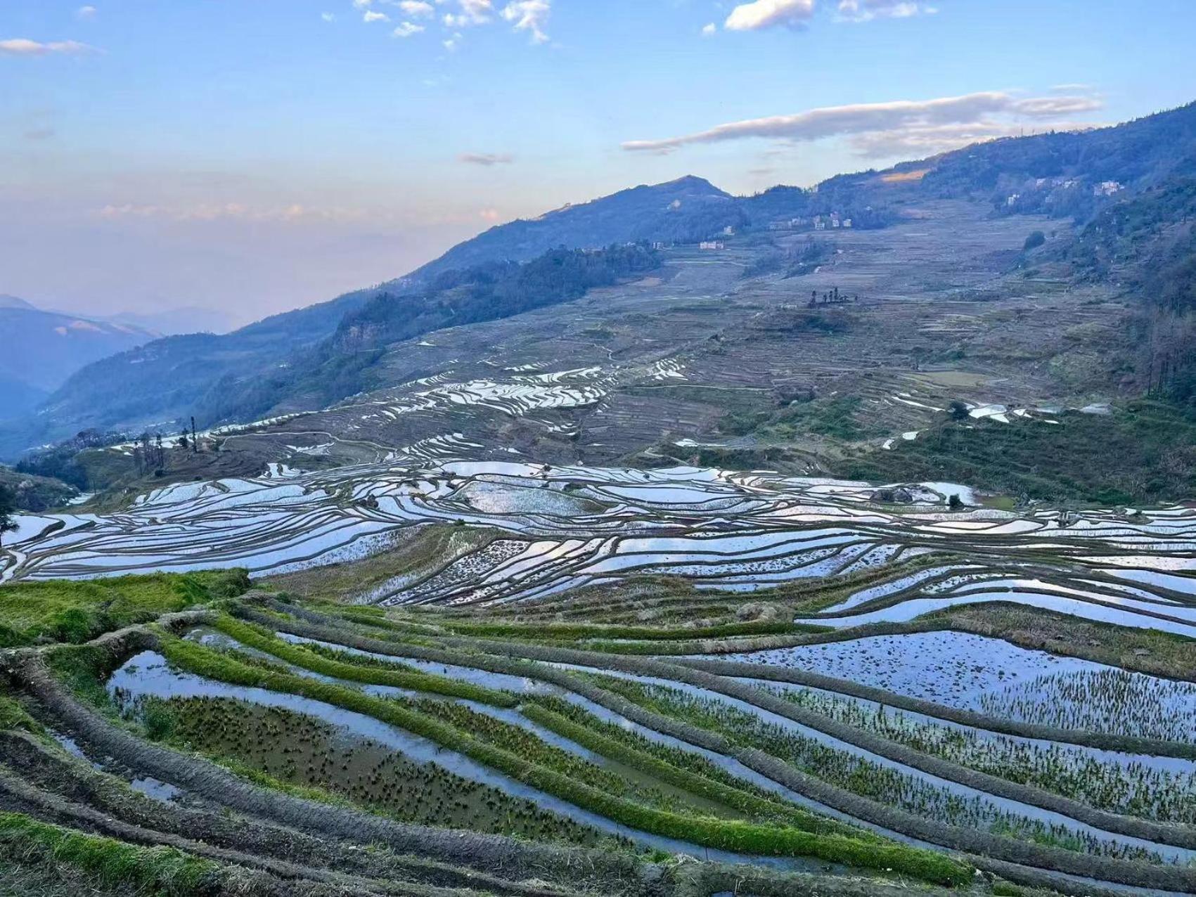 Yuanyang Flower And Horse Inn Eksteriør bilde